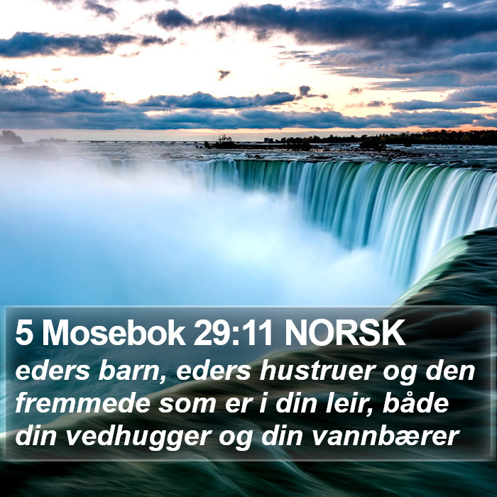 5 Mosebok 29:11 NORSK Bible Study