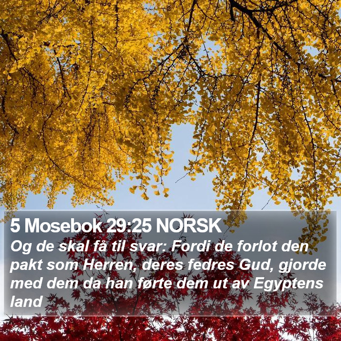 5 Mosebok 29:25 NORSK Bible Study