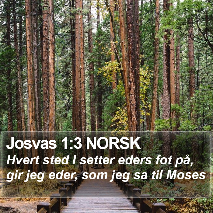 Josvas 1:3 NORSK Bible Study