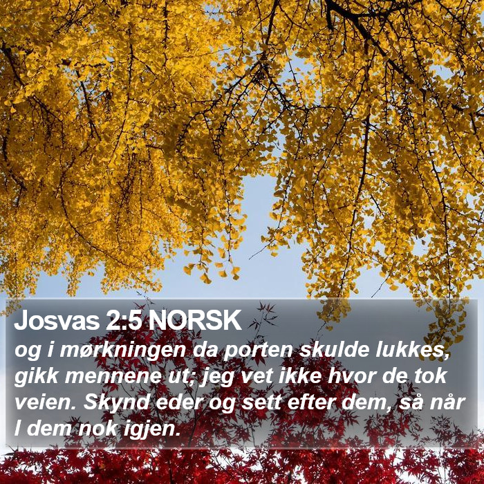 Josvas 2:5 NORSK Bible Study