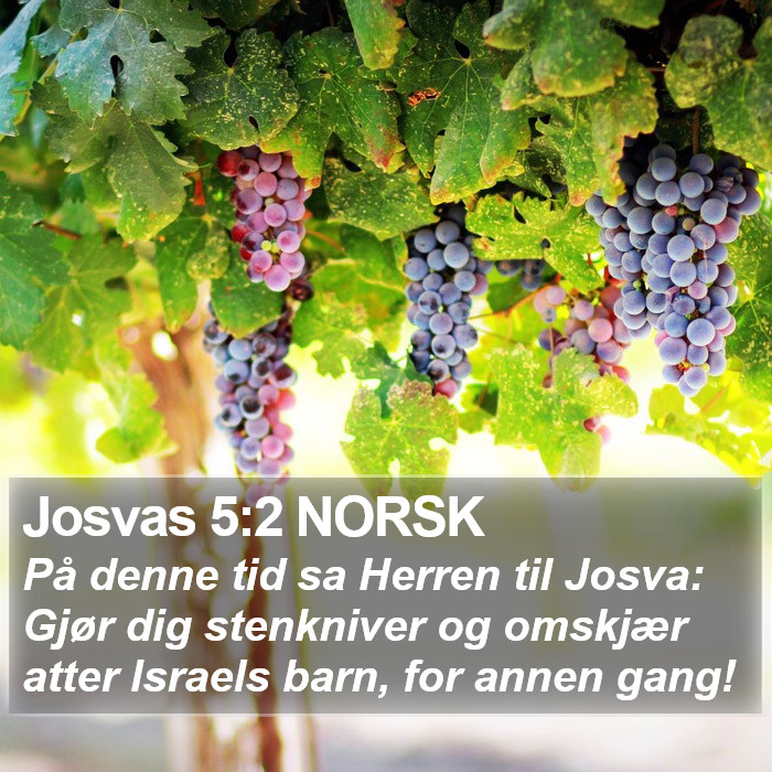 Josvas 5:2 NORSK Bible Study