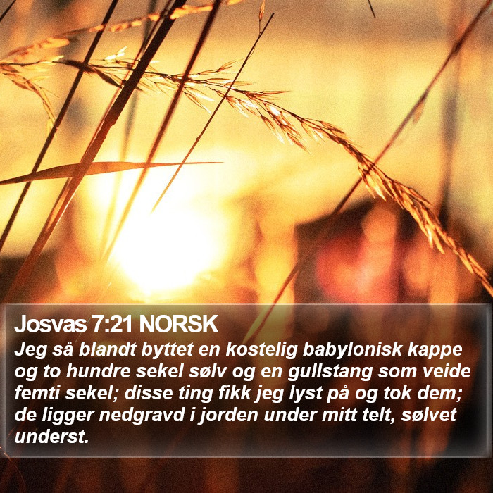 Josvas 7:21 NORSK Bible Study