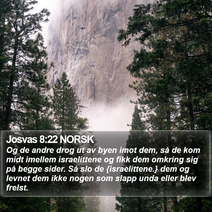 Josvas 8:22 NORSK Bible Study