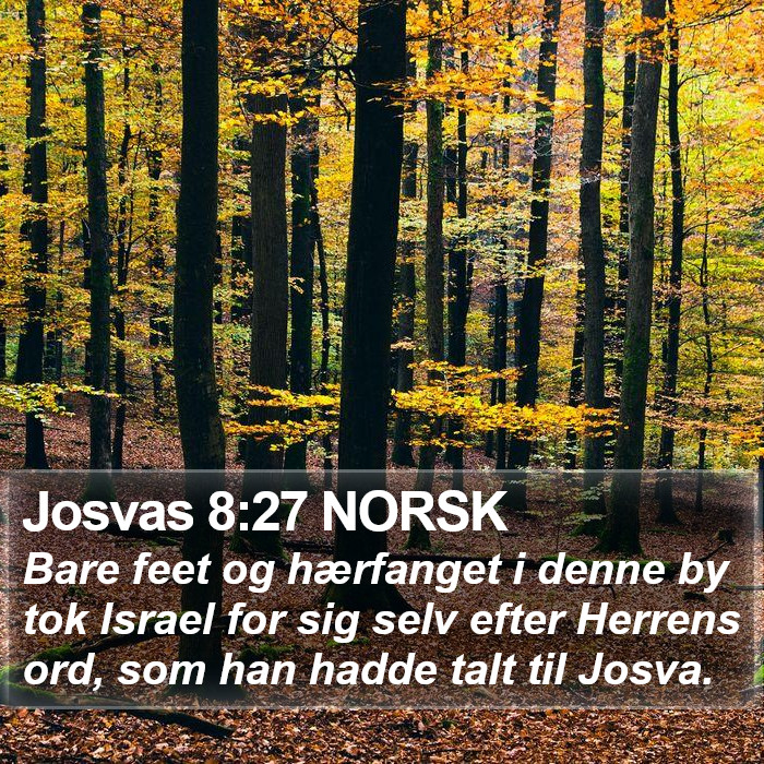 Josvas 8:27 NORSK Bible Study