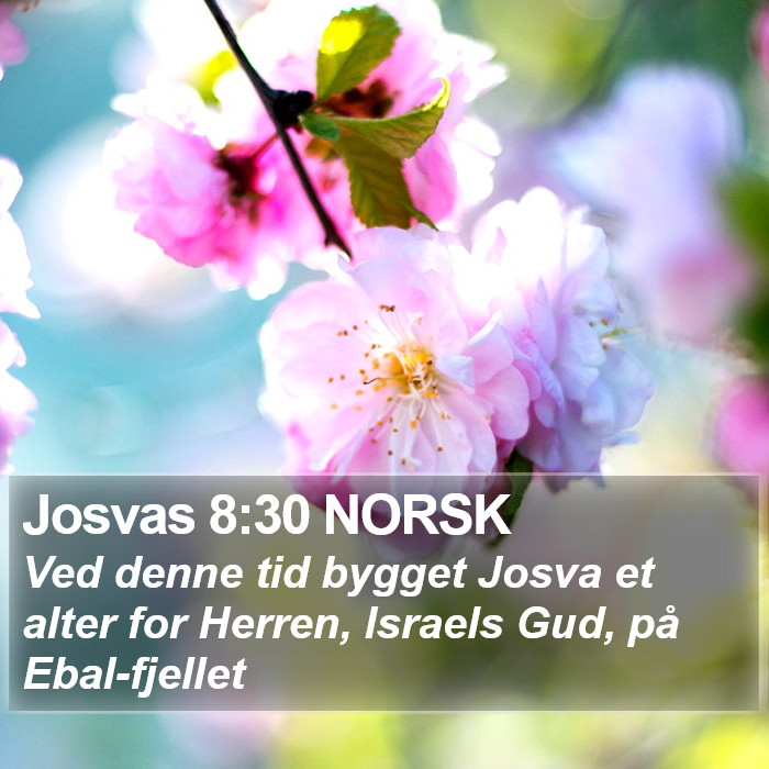 Josvas 8:30 NORSK Bible Study