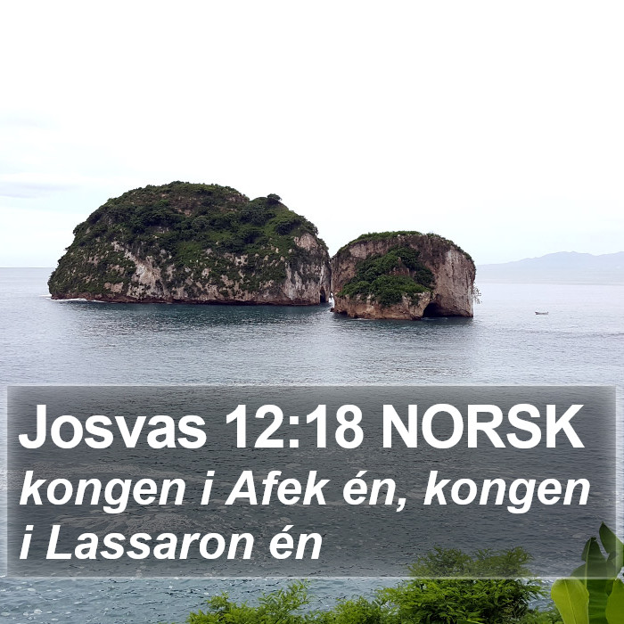 Josvas 12:18 NORSK Bible Study