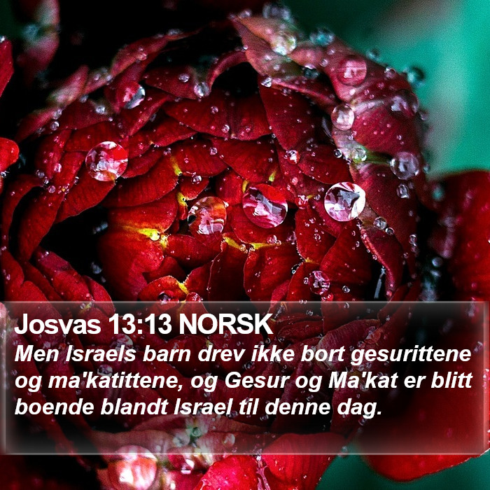 Josvas 13:13 NORSK Bible Study