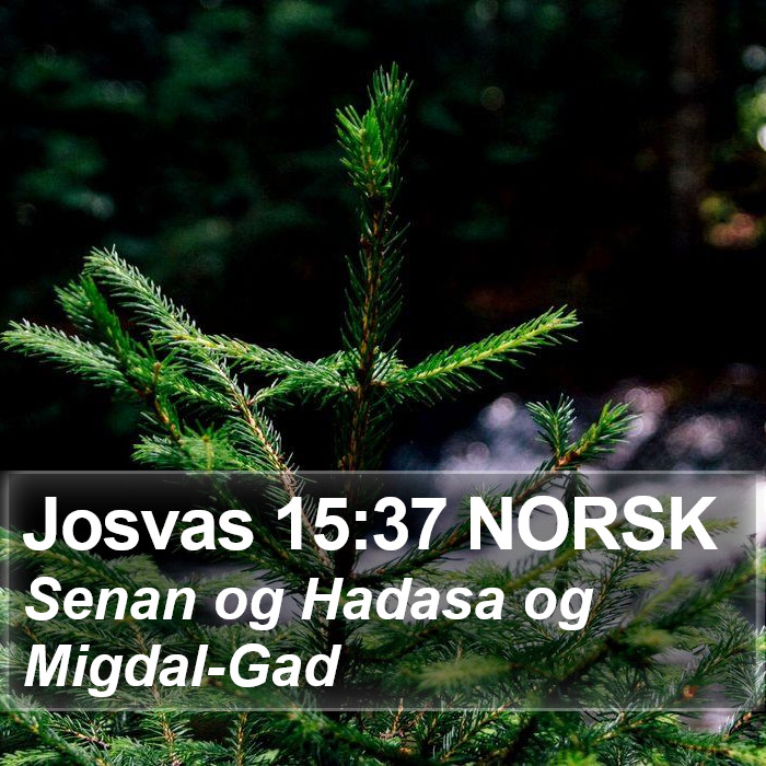 Josvas 15:37 NORSK Bible Study