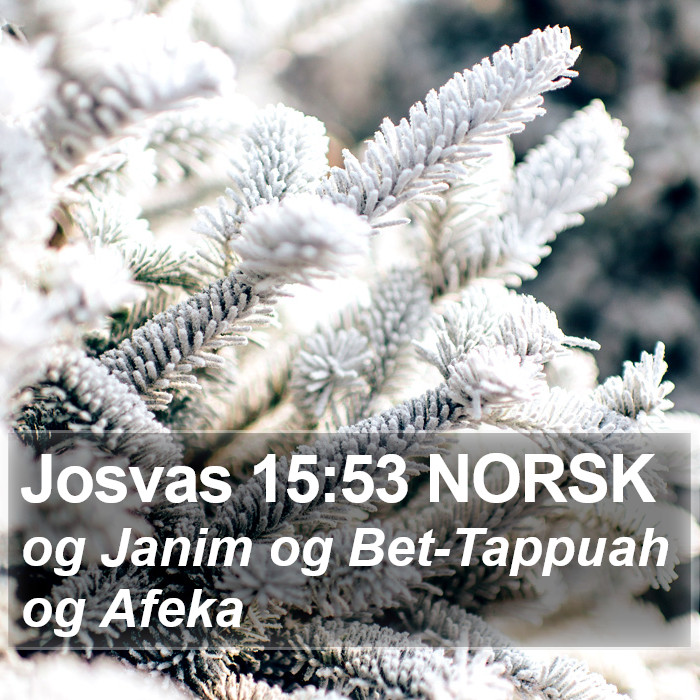 Josvas 15:53 NORSK Bible Study