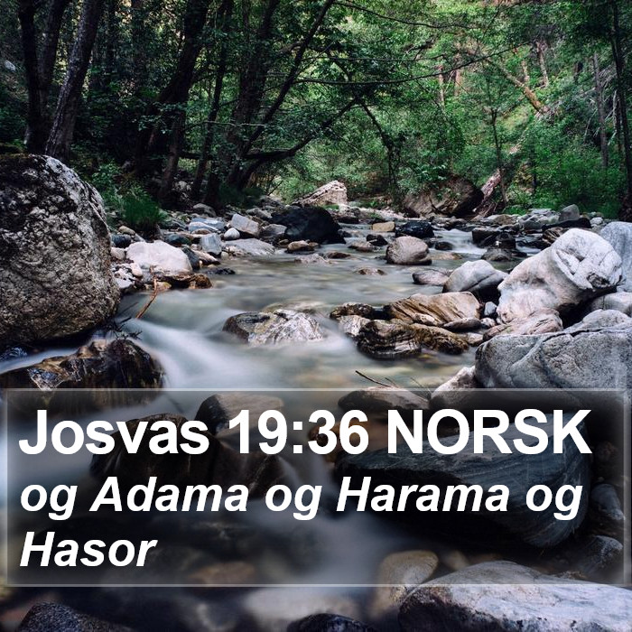 Josvas 19:36 NORSK Bible Study