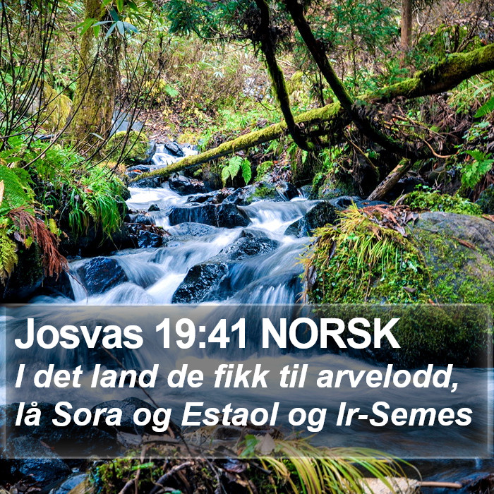 Josvas 19:41 NORSK Bible Study