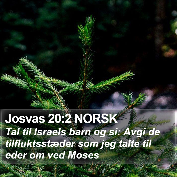 Josvas 20:2 NORSK Bible Study