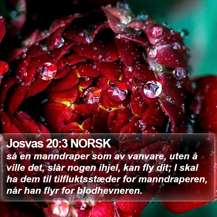 Josvas 20:3 NORSK Bible Study