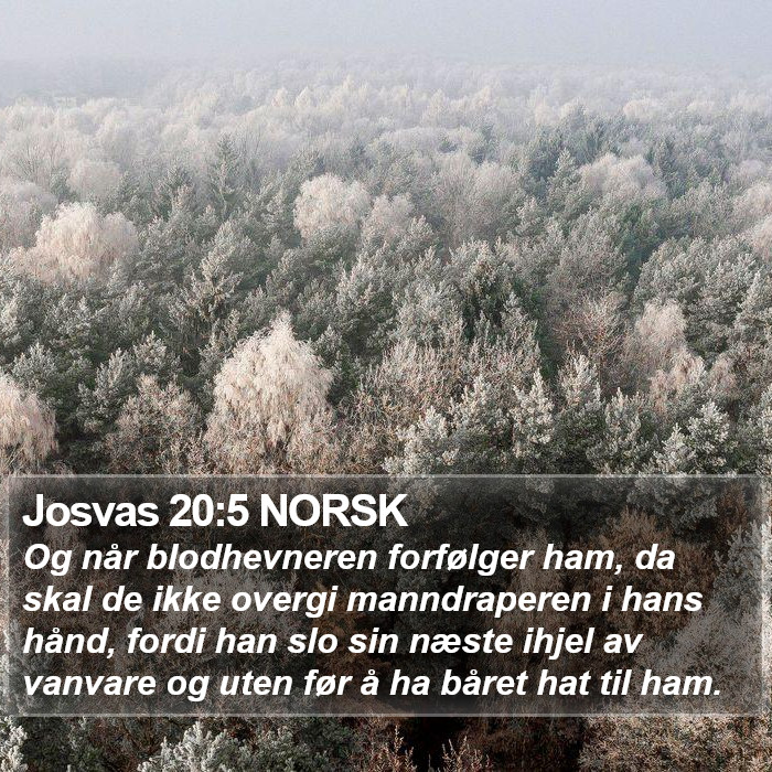 Josvas 20:5 NORSK Bible Study