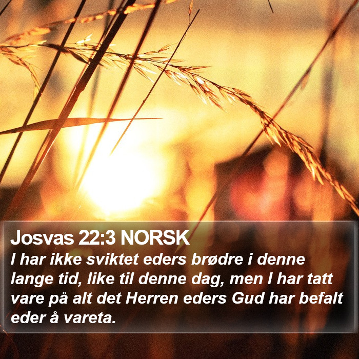 Josvas 22:3 NORSK Bible Study