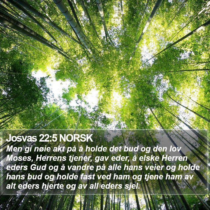 Josvas 22:5 NORSK Bible Study