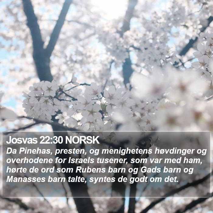 Josvas 22:30 NORSK Bible Study