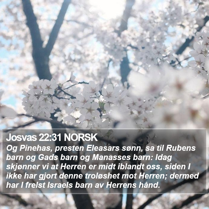 Josvas 22:31 NORSK Bible Study