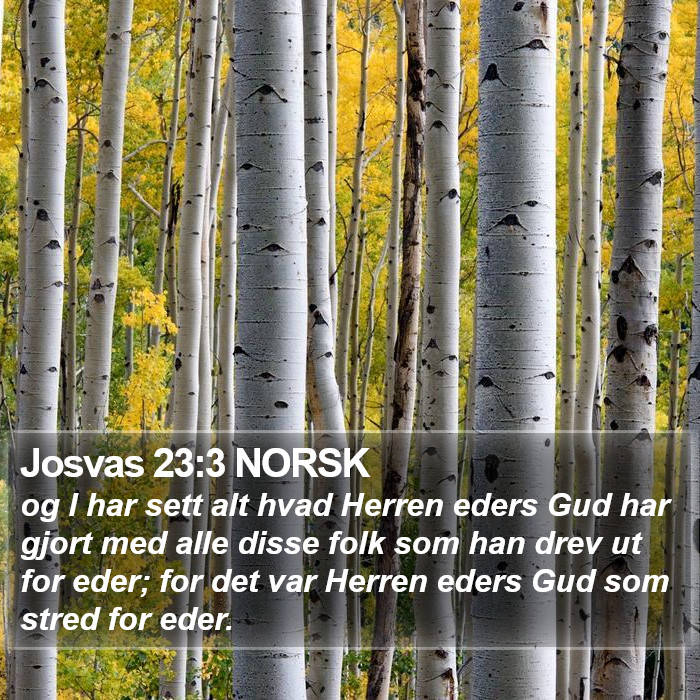 Josvas 23:3 NORSK Bible Study
