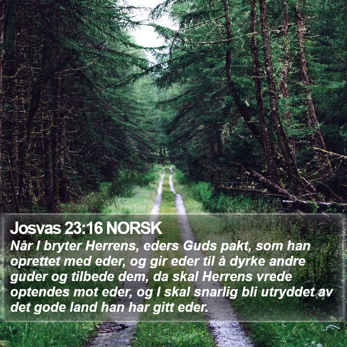 Josvas 23:16 NORSK Bible Study