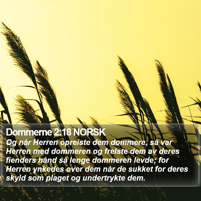 Dommerne 2:18 NORSK Bible Study