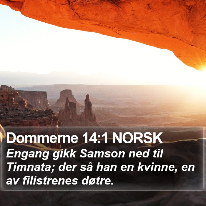 Dommerne 14:1 NORSK Bible Study