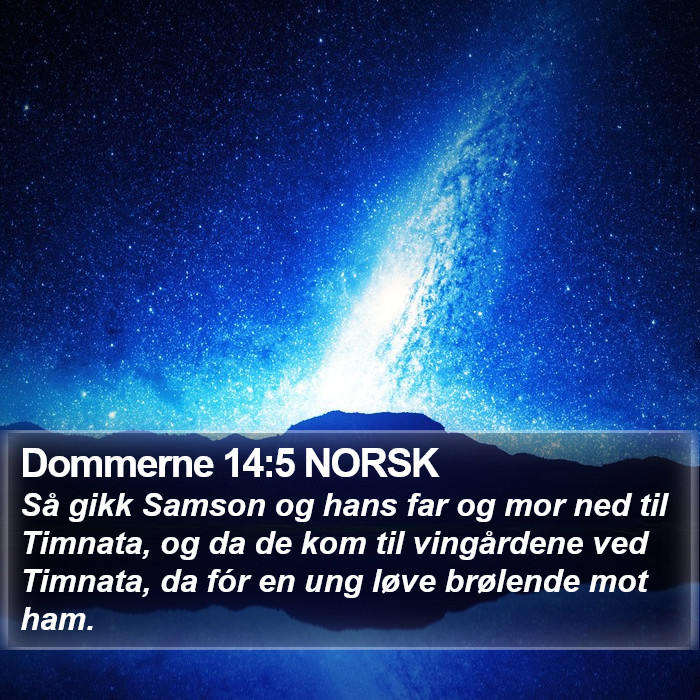 Dommerne 14:5 NORSK Bible Study