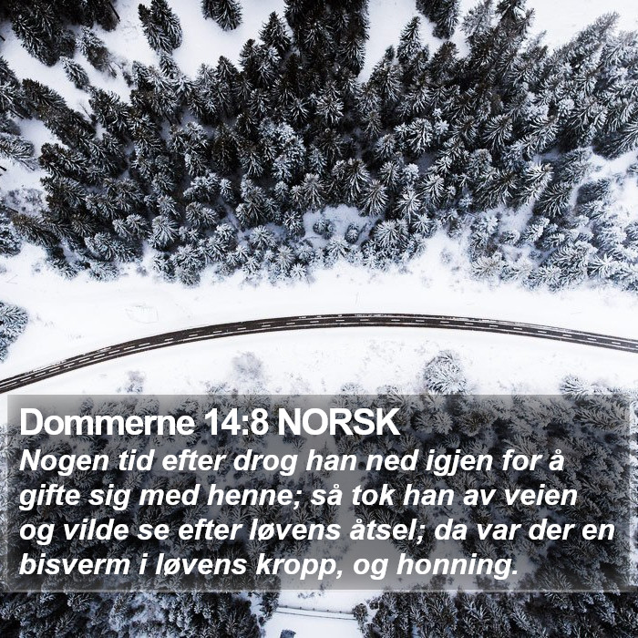 Dommerne 14:8 NORSK Bible Study