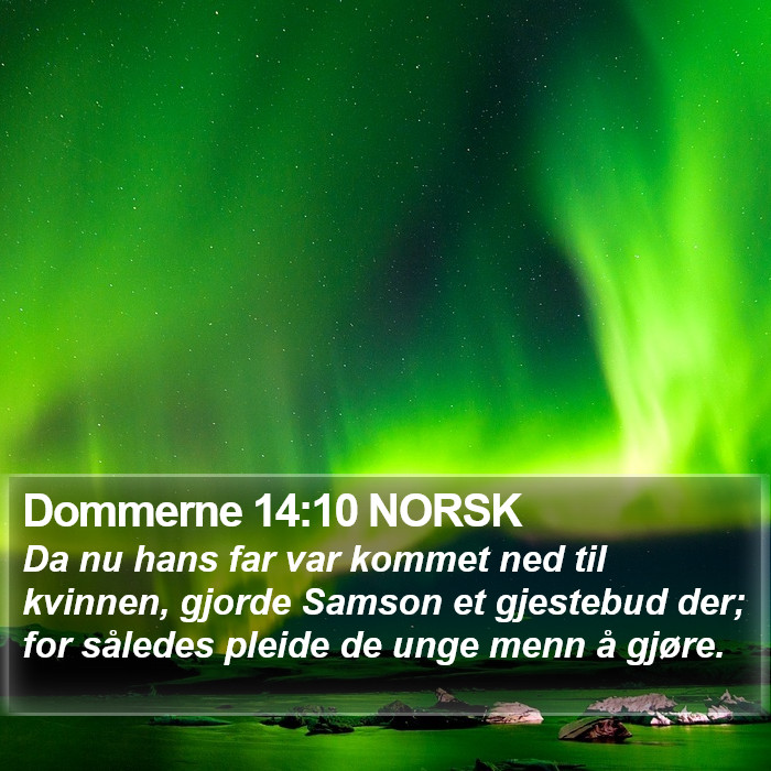 Dommerne 14:10 NORSK Bible Study