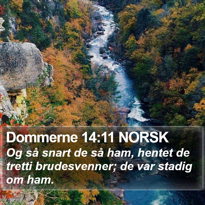 Dommerne 14:11 NORSK Bible Study