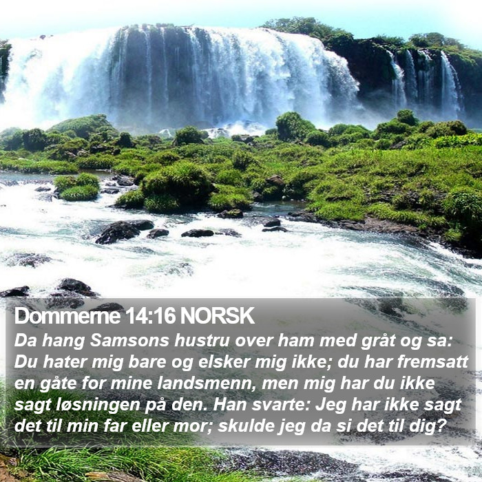 Dommerne 14:16 NORSK Bible Study