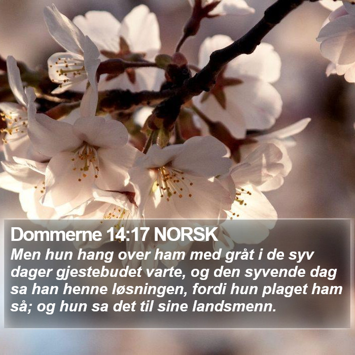 Dommerne 14:17 NORSK Bible Study