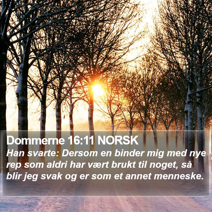 Dommerne 16:11 NORSK Bible Study