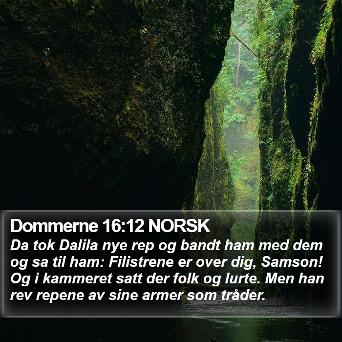 Dommerne 16:12 NORSK Bible Study