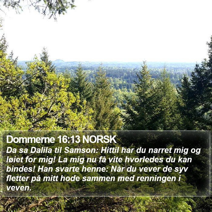 Dommerne 16:13 NORSK Bible Study