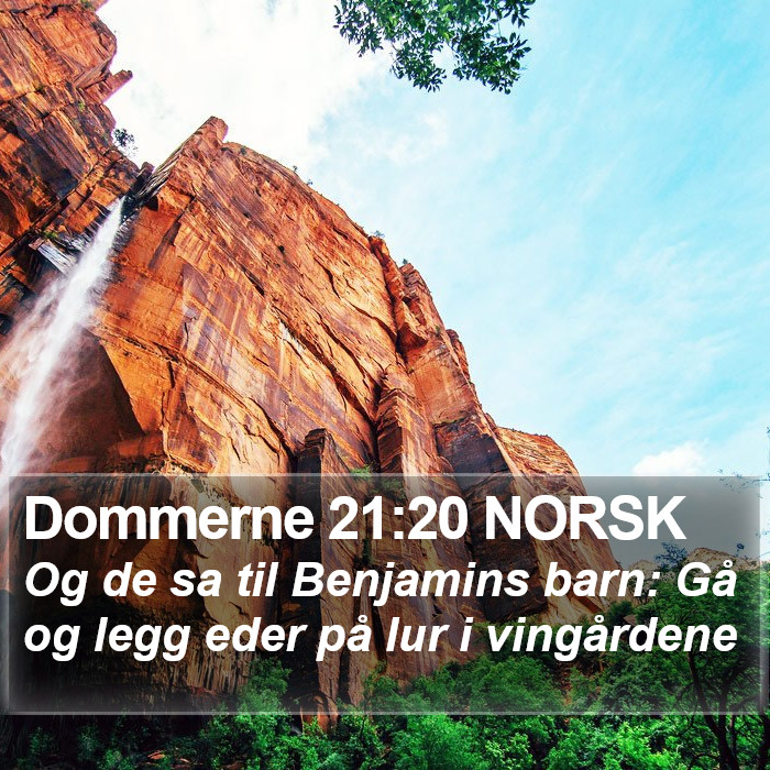 Dommerne 21:20 NORSK Bible Study