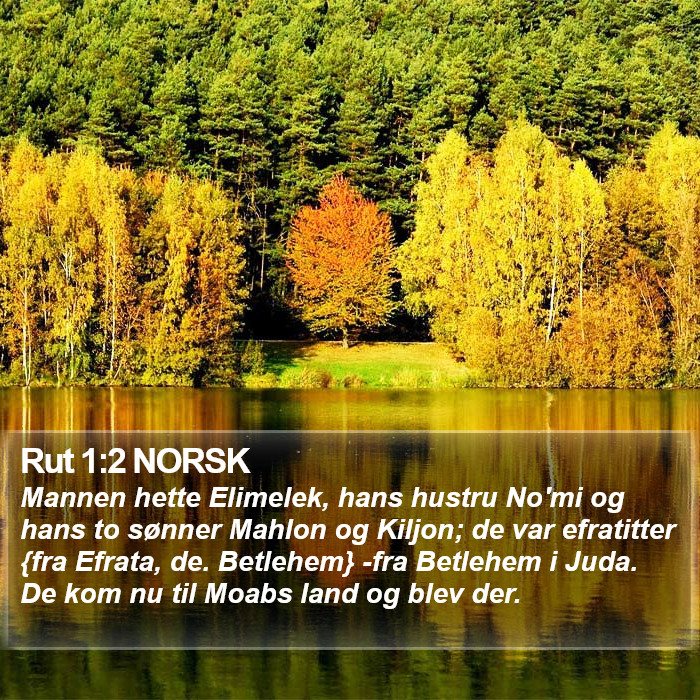 Rut 1:2 NORSK Bible Study