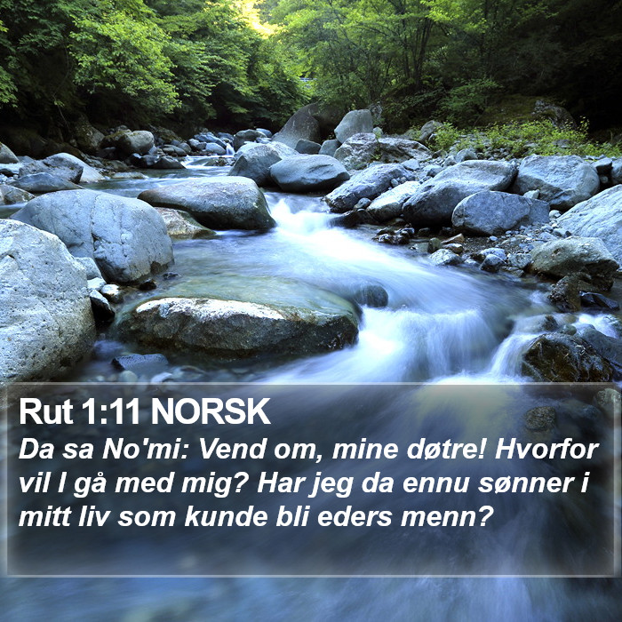 Rut 1:11 NORSK Bible Study