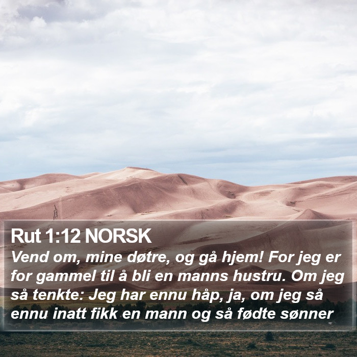 Rut 1:12 NORSK Bible Study