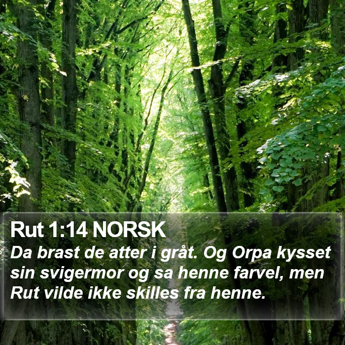 Rut 1:14 NORSK Bible Study