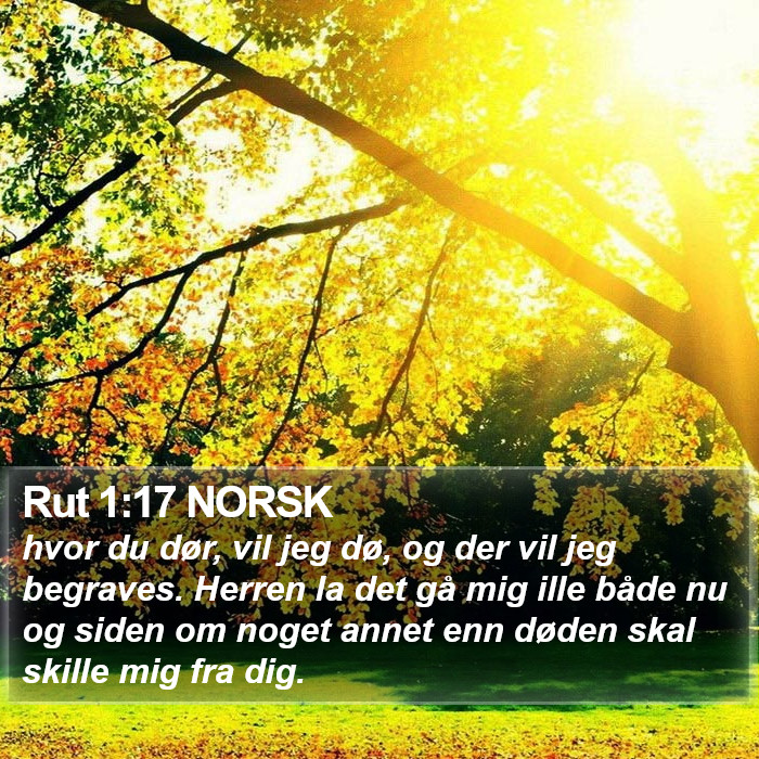 Rut 1:17 NORSK Bible Study