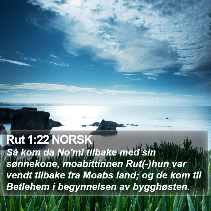 Rut 1:22 NORSK Bible Study