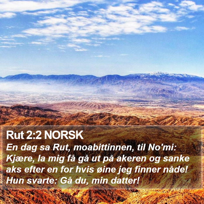 Rut 2:2 NORSK Bible Study