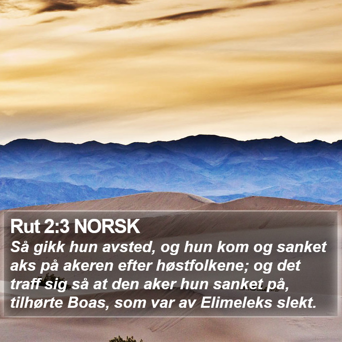 Rut 2:3 NORSK Bible Study