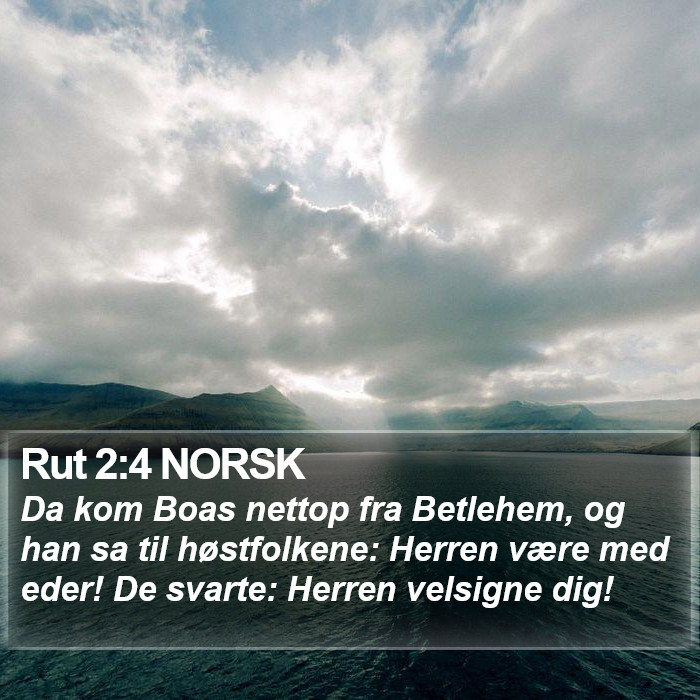 Rut 2:4 NORSK Bible Study