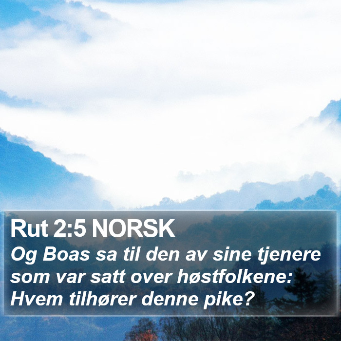 Rut 2:5 NORSK Bible Study