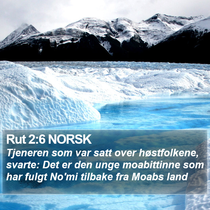 Rut 2:6 NORSK Bible Study