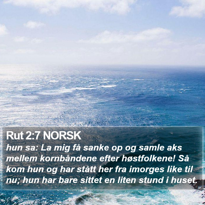 Rut 2:7 NORSK Bible Study