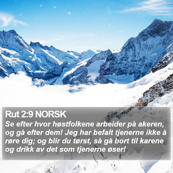 Rut 2:9 NORSK Bible Study