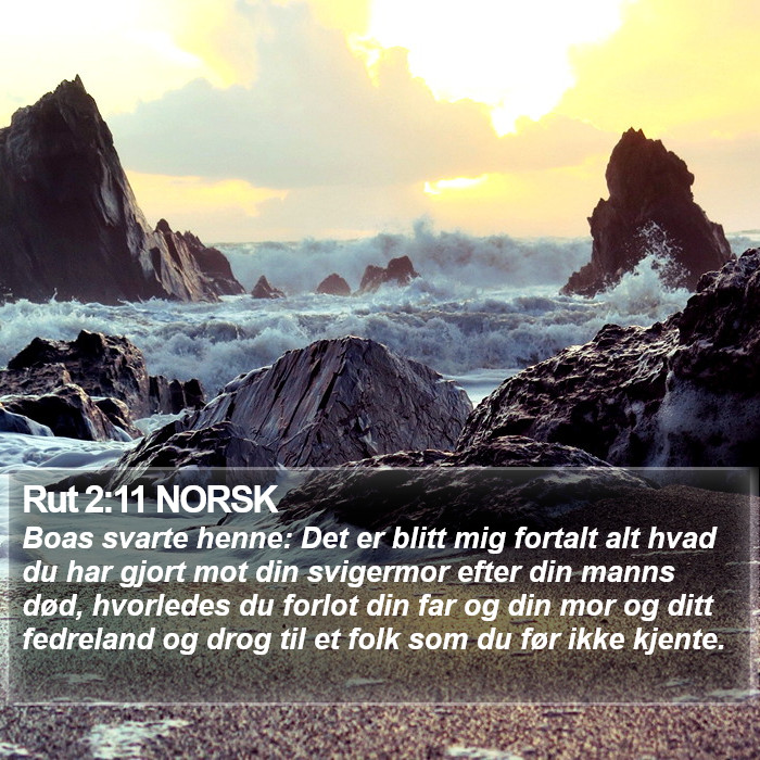 Rut 2:11 NORSK Bible Study